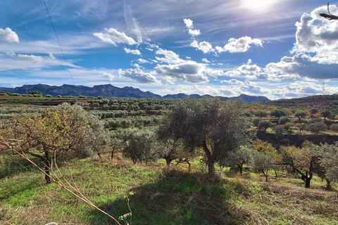 Finca i Tivissa, Tarragona, Tivissa - € 98 000 | Ref: CC833 - foto 20